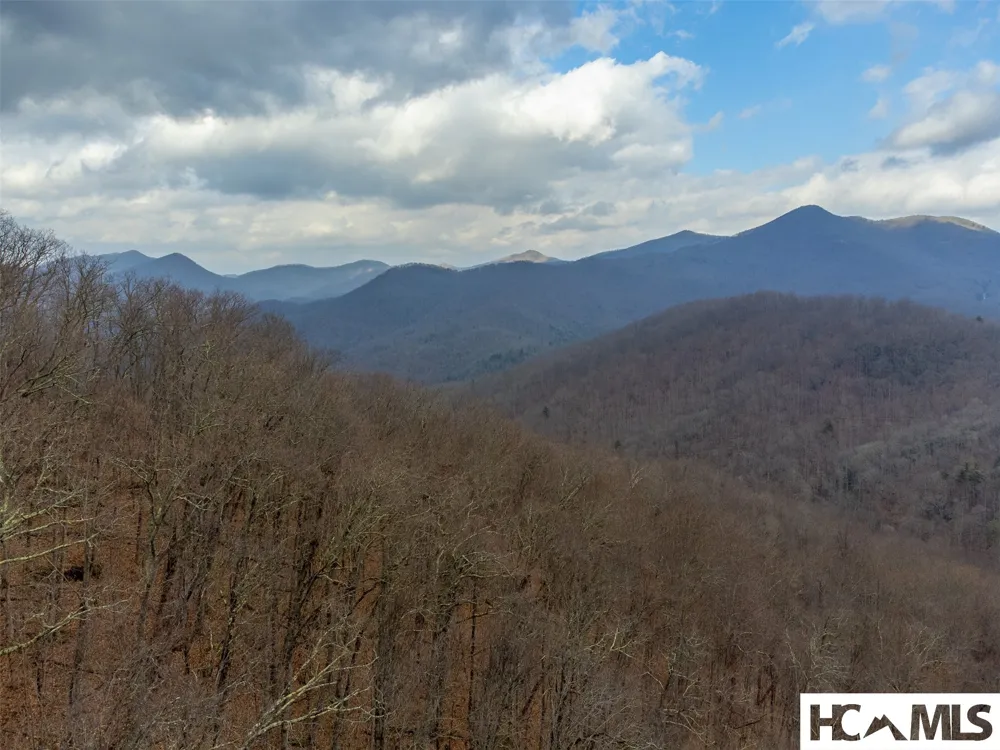 1241* Henry Road Franklin, NC 28734
