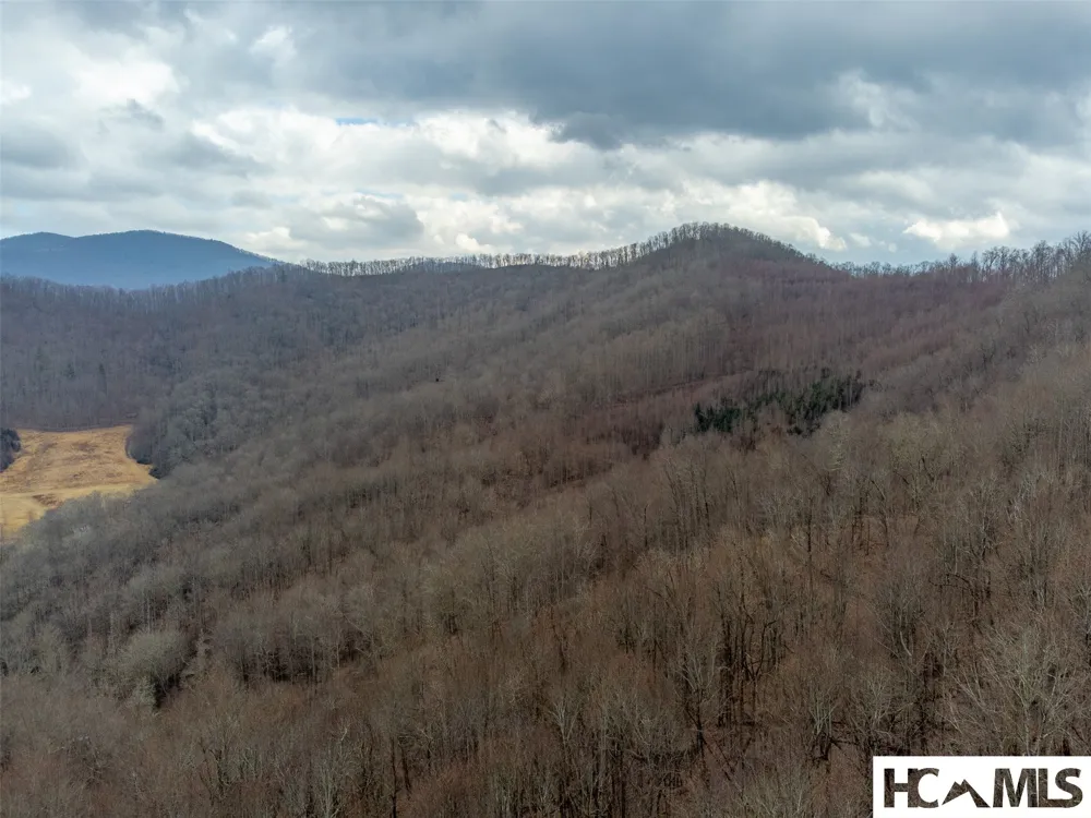 1241* Henry Road Franklin, NC 28734