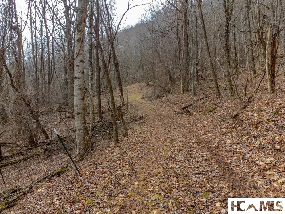 1241* Henry Road Franklin, NC 28734