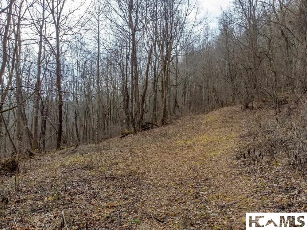 1241* Henry Road Franklin, NC 28734