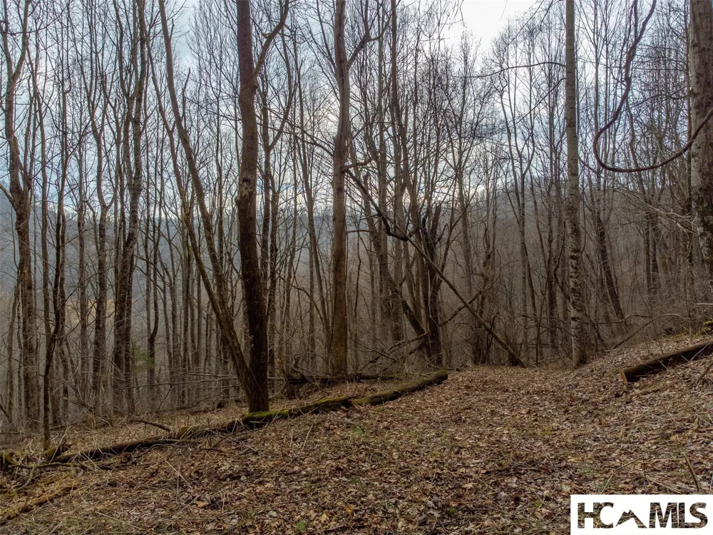 1241* Henry Road Franklin, NC 28734