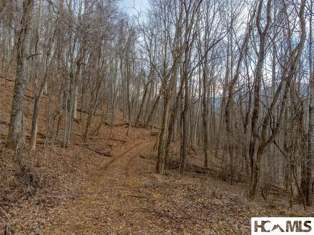 1241* Henry Road Franklin, NC 28734