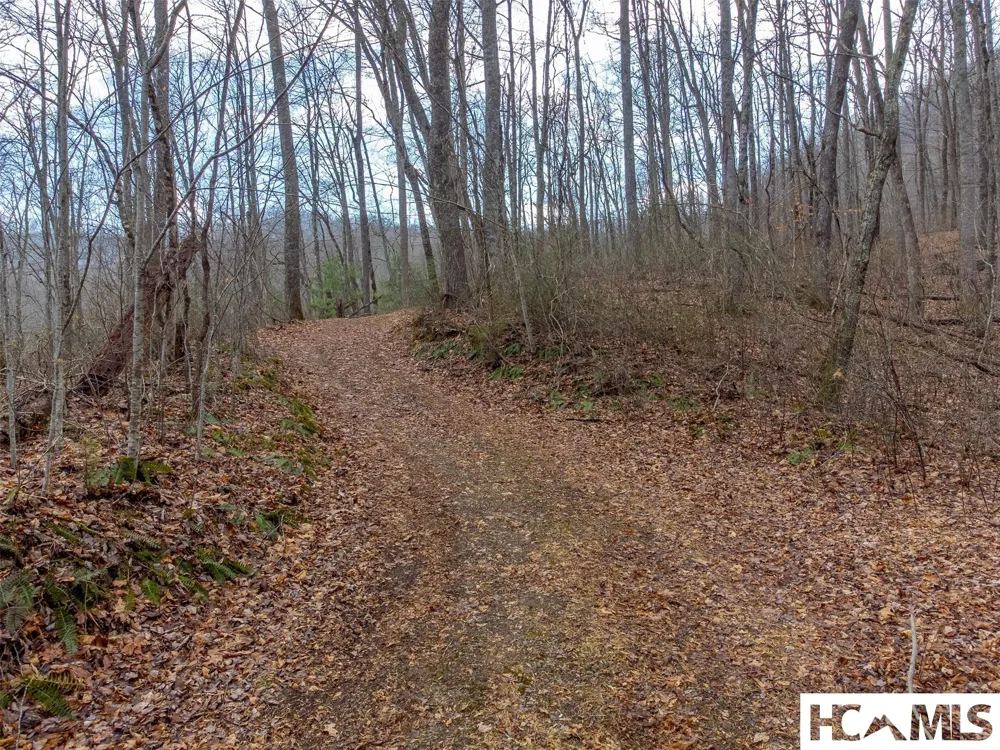 1241* Henry Road Franklin, NC 28734