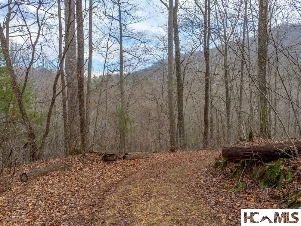 1241* Henry Road Franklin, NC 28734
