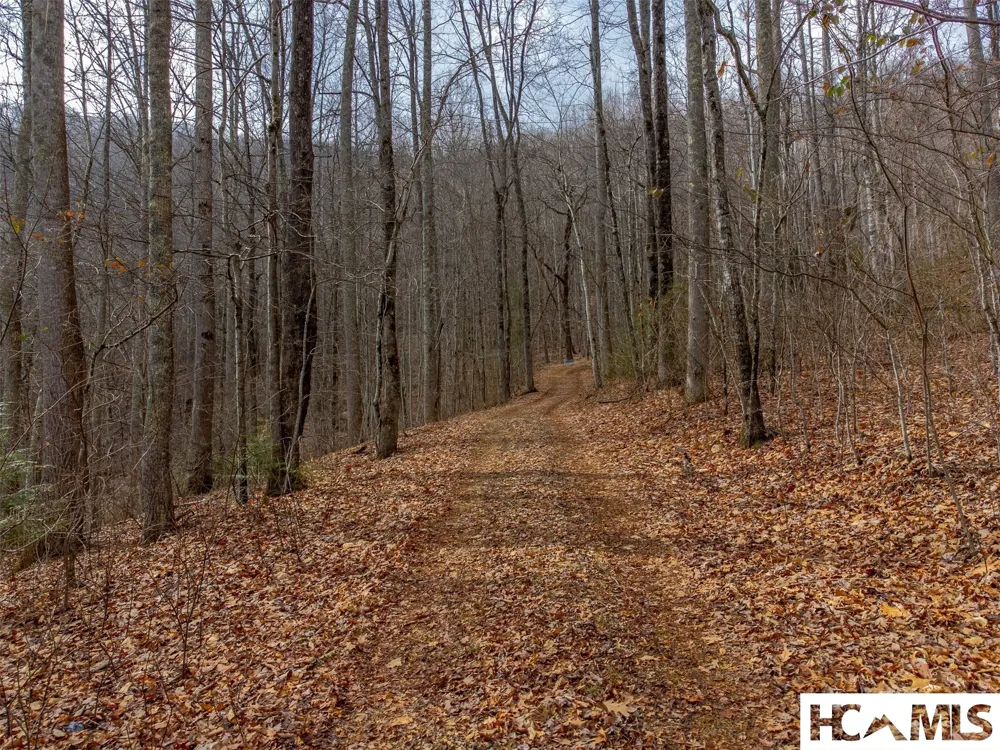 1241* Henry Road Franklin, NC 28734