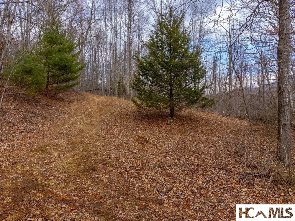 1241* Henry Road Franklin, NC 28734