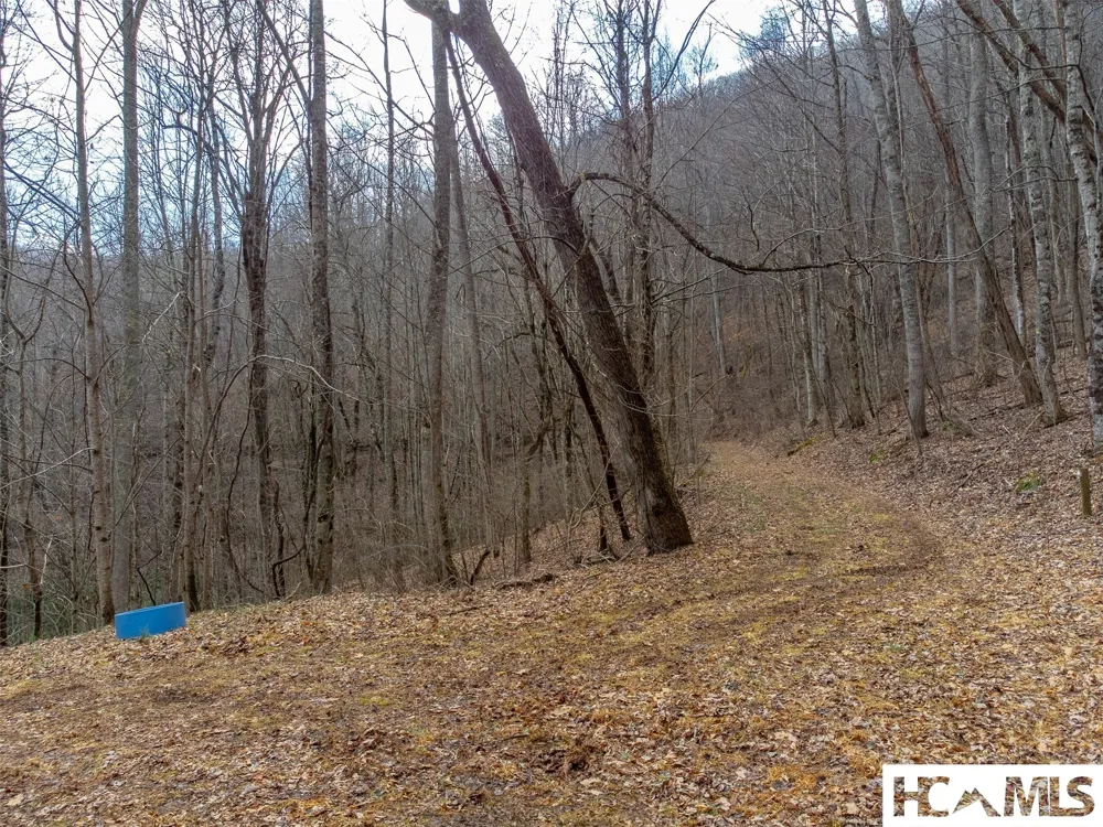 1241* Henry Road Franklin, NC 28734
