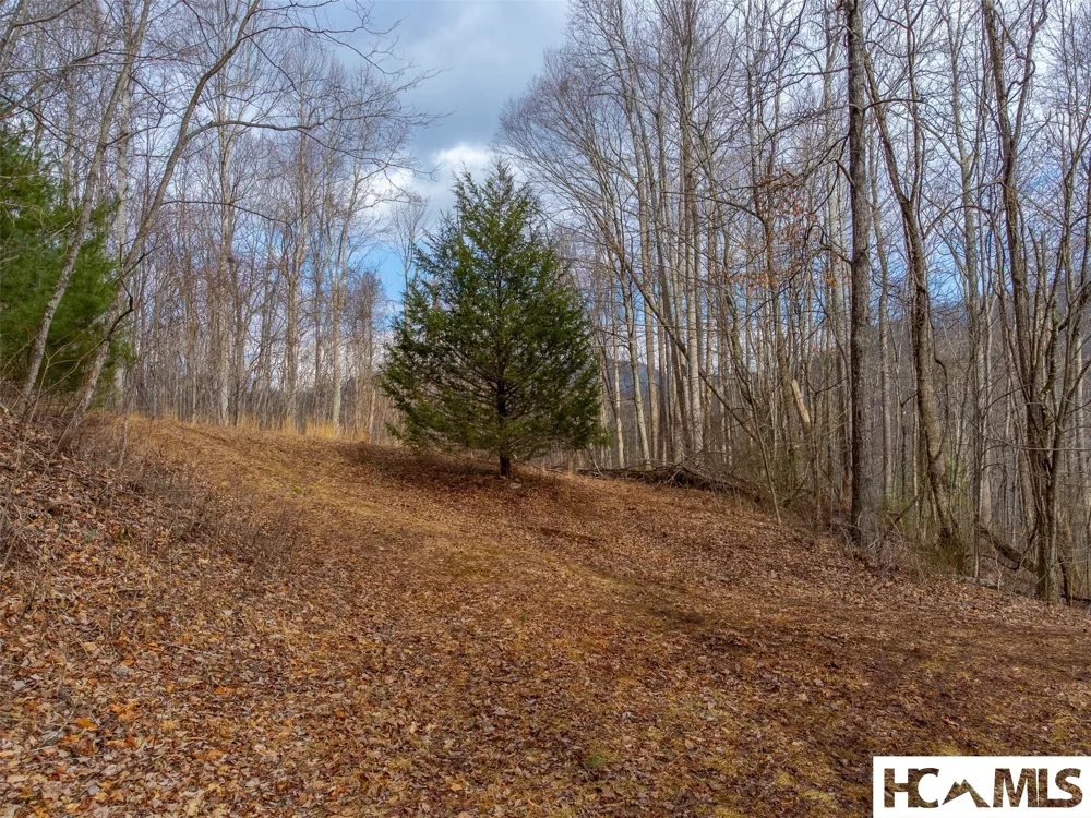 1241* Henry Road Franklin, NC 28734