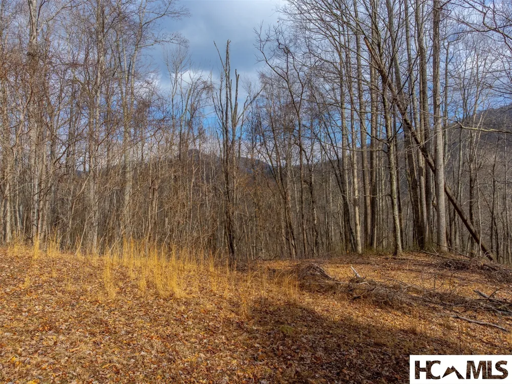 1241* Henry Road Franklin, NC 28734