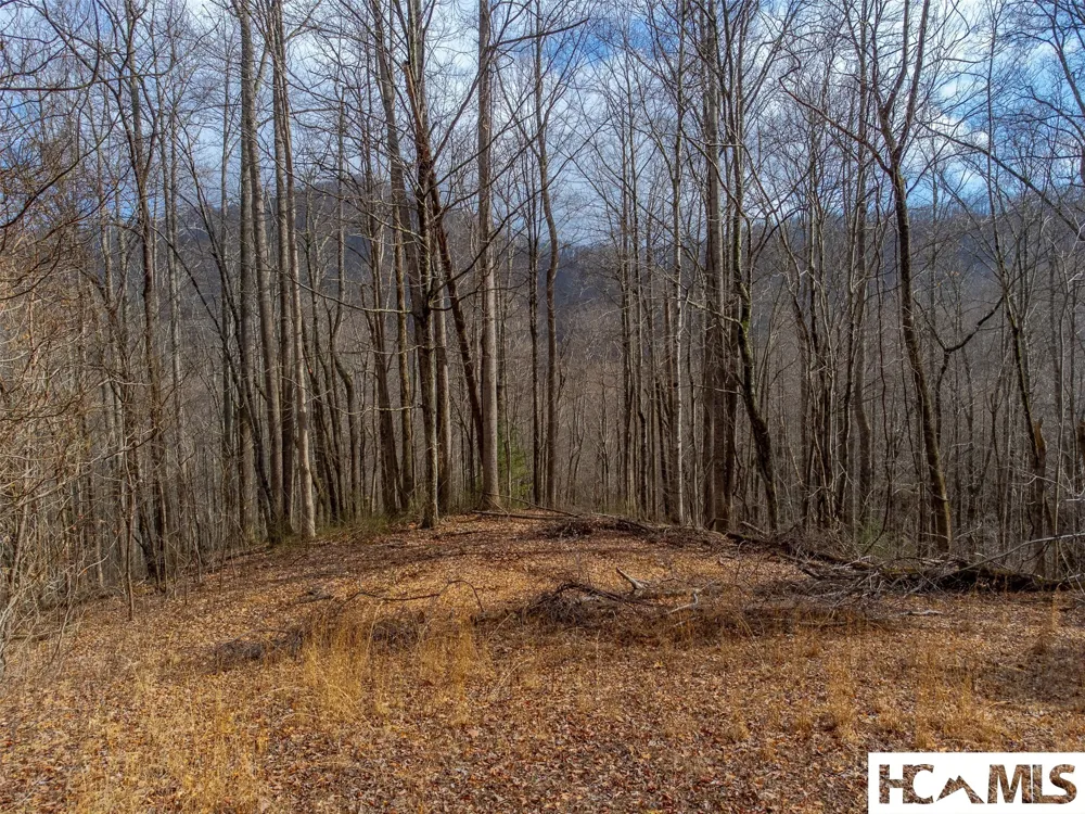 1241* Henry Road Franklin, NC 28734