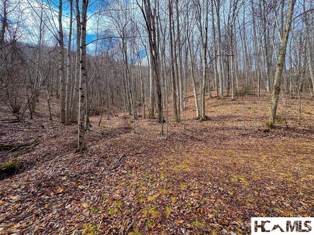 1241* Henry Road Franklin, NC 28734