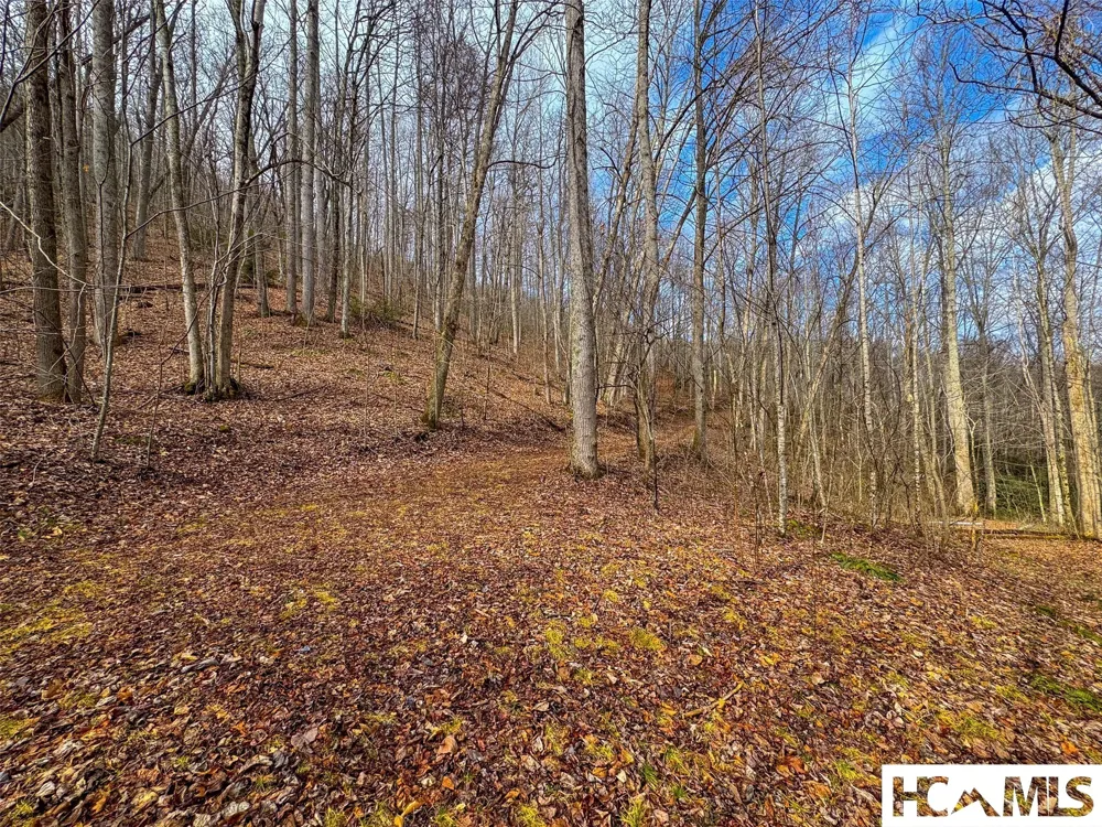 1241* Henry Road Franklin, NC 28734