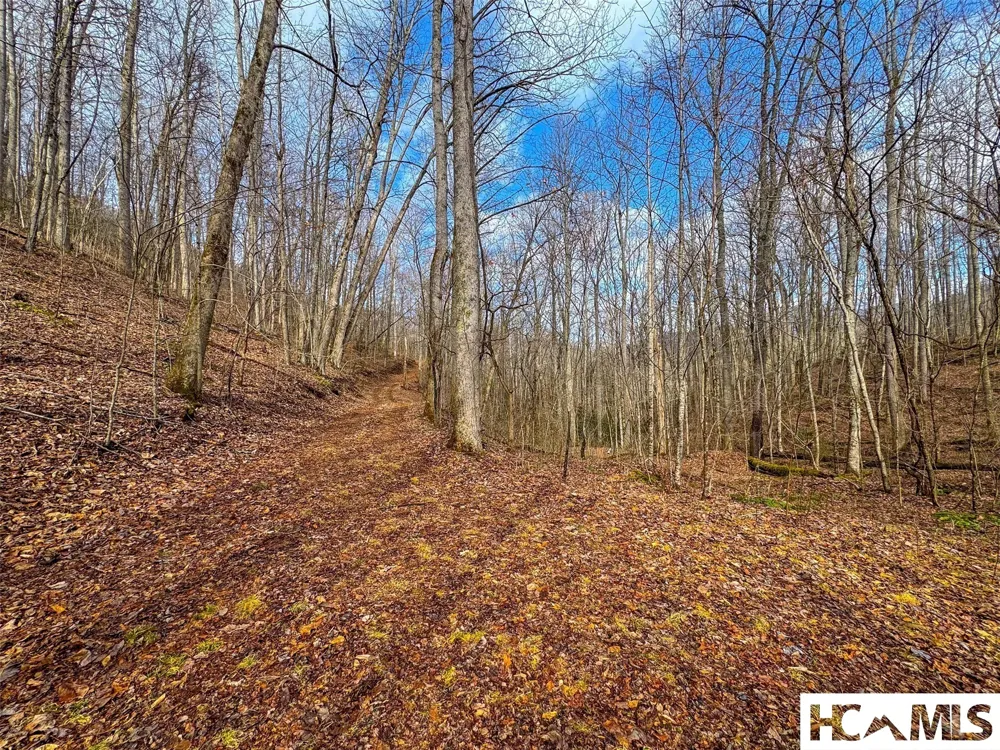 1241* Henry Road Franklin, NC 28734