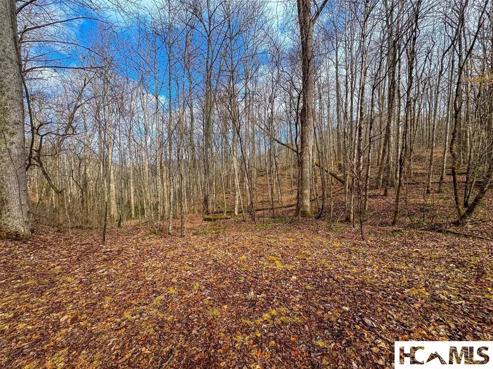 1241* Henry Road Franklin, NC 28734