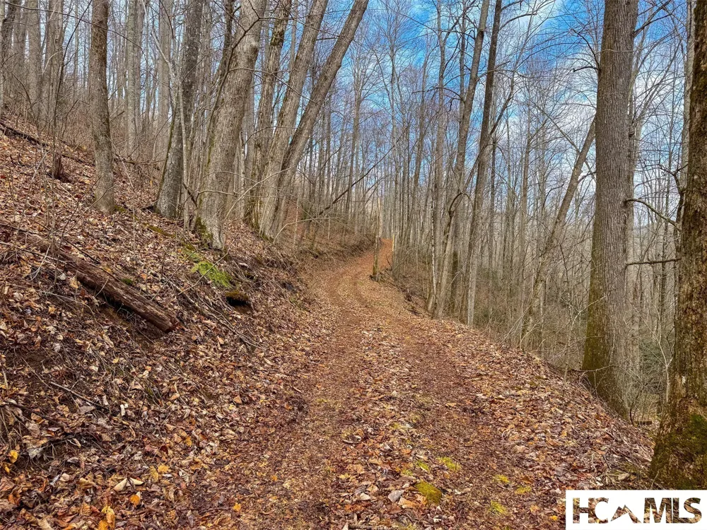 1241* Henry Road Franklin, NC 28734