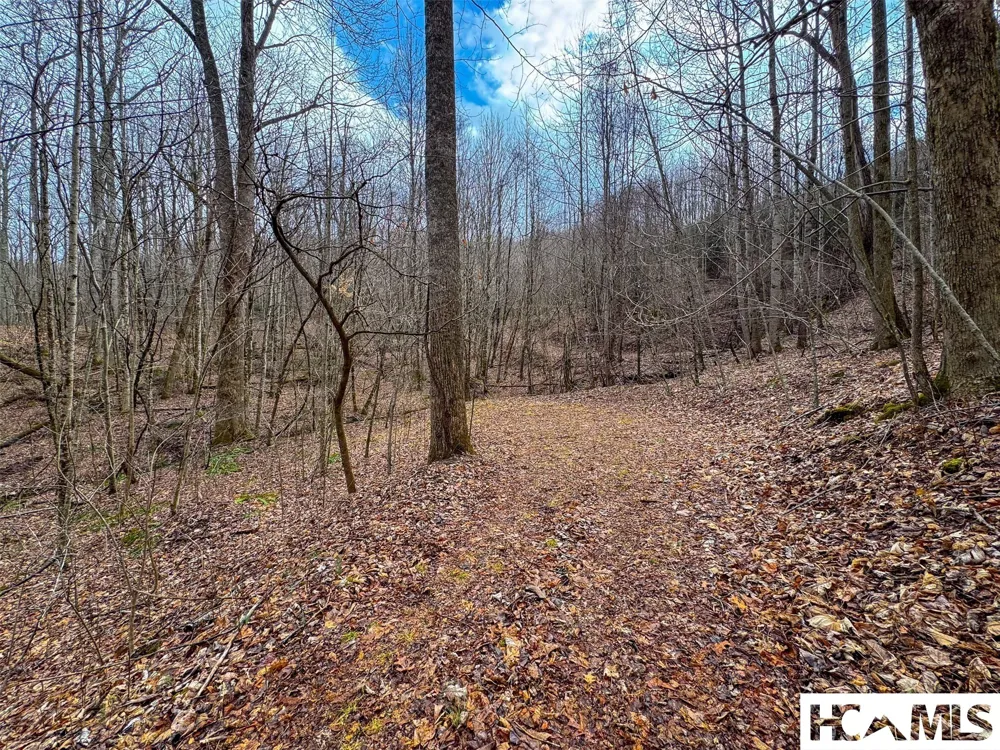 1241* Henry Road Franklin, NC 28734