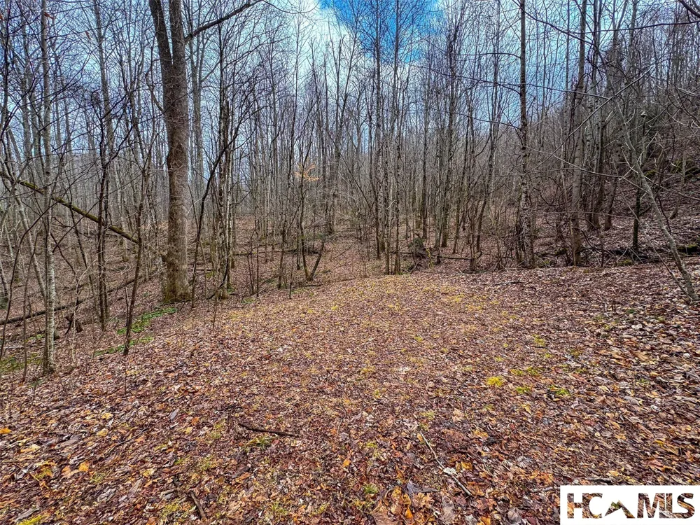 1241* Henry Road Franklin, NC 28734