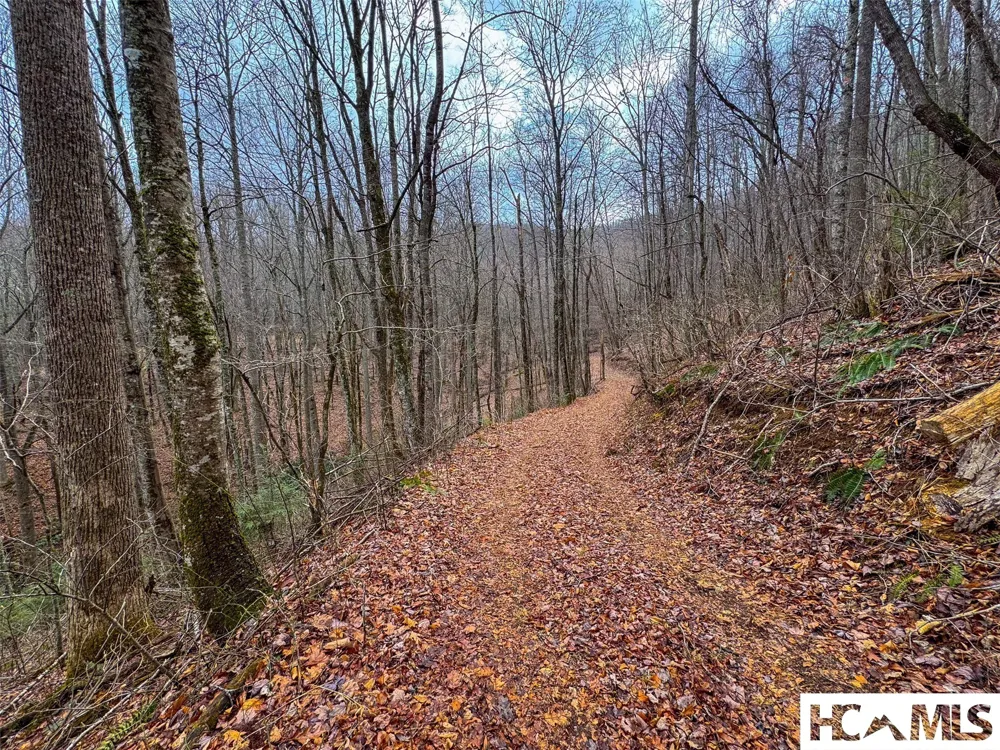 1241* Henry Road Franklin, NC 28734