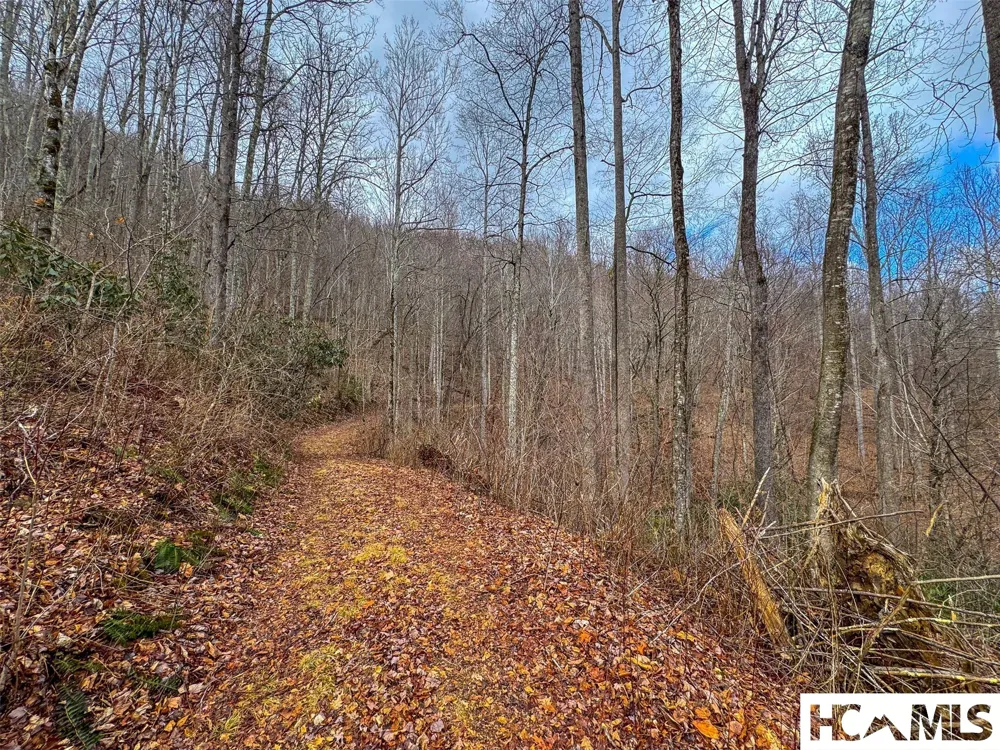 1241* Henry Road Franklin, NC 28734