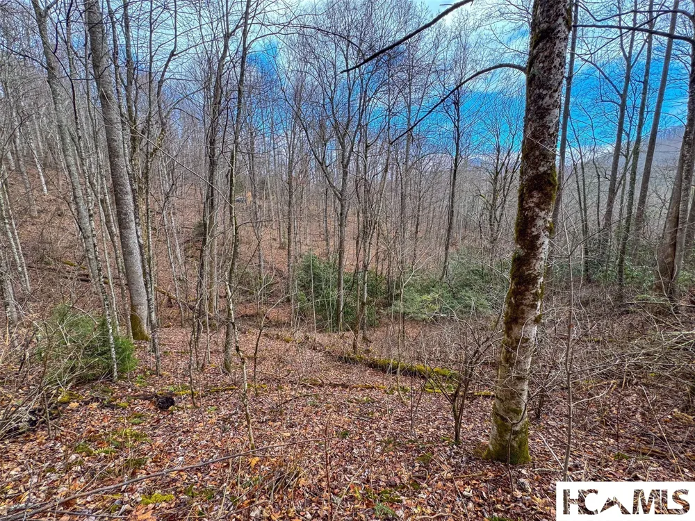 1241* Henry Road Franklin, NC 28734