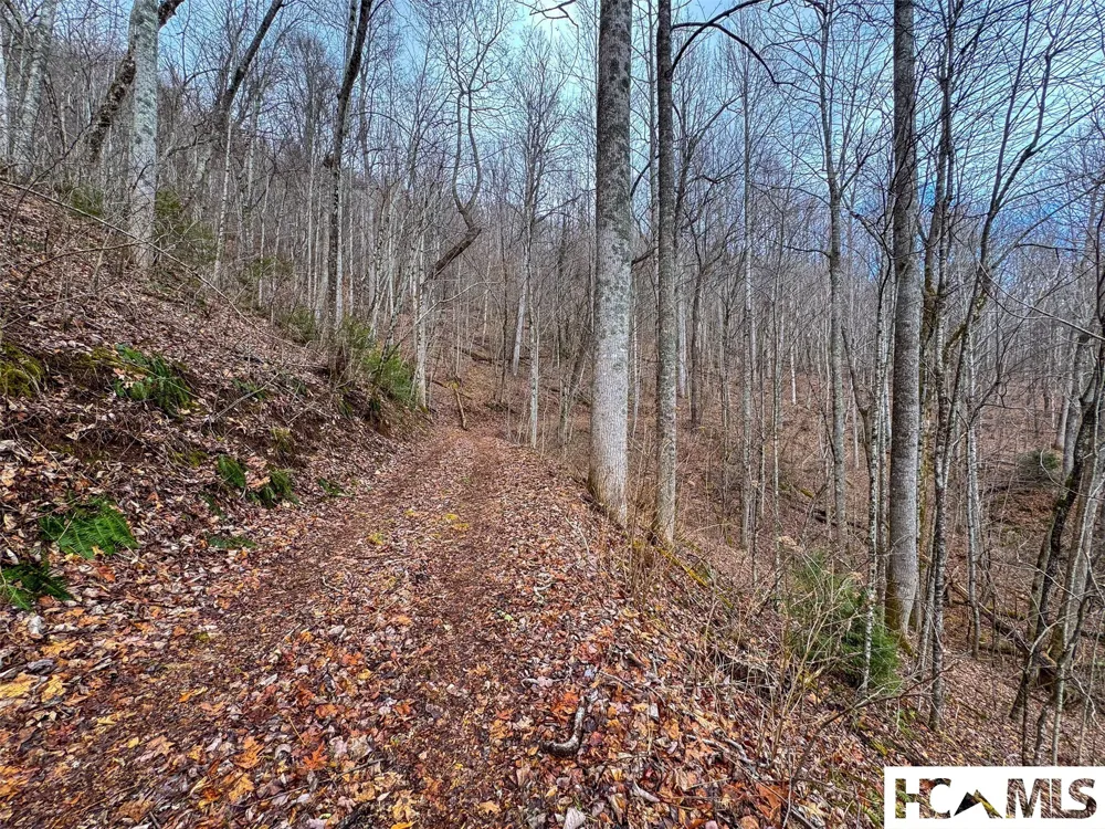 1241* Henry Road Franklin, NC 28734