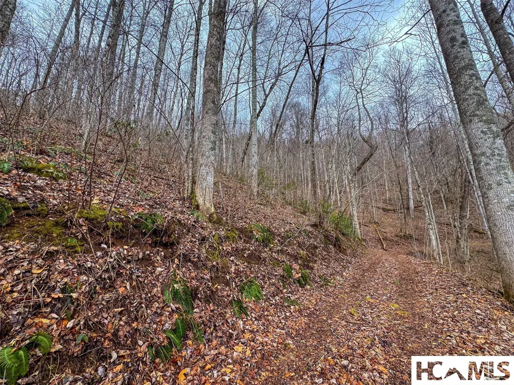 1241* Henry Road Franklin, NC 28734