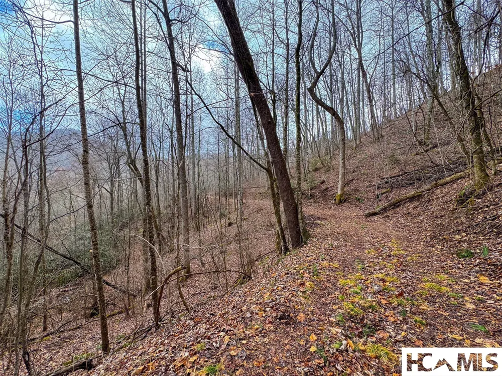 1241* Henry Road Franklin, NC 28734
