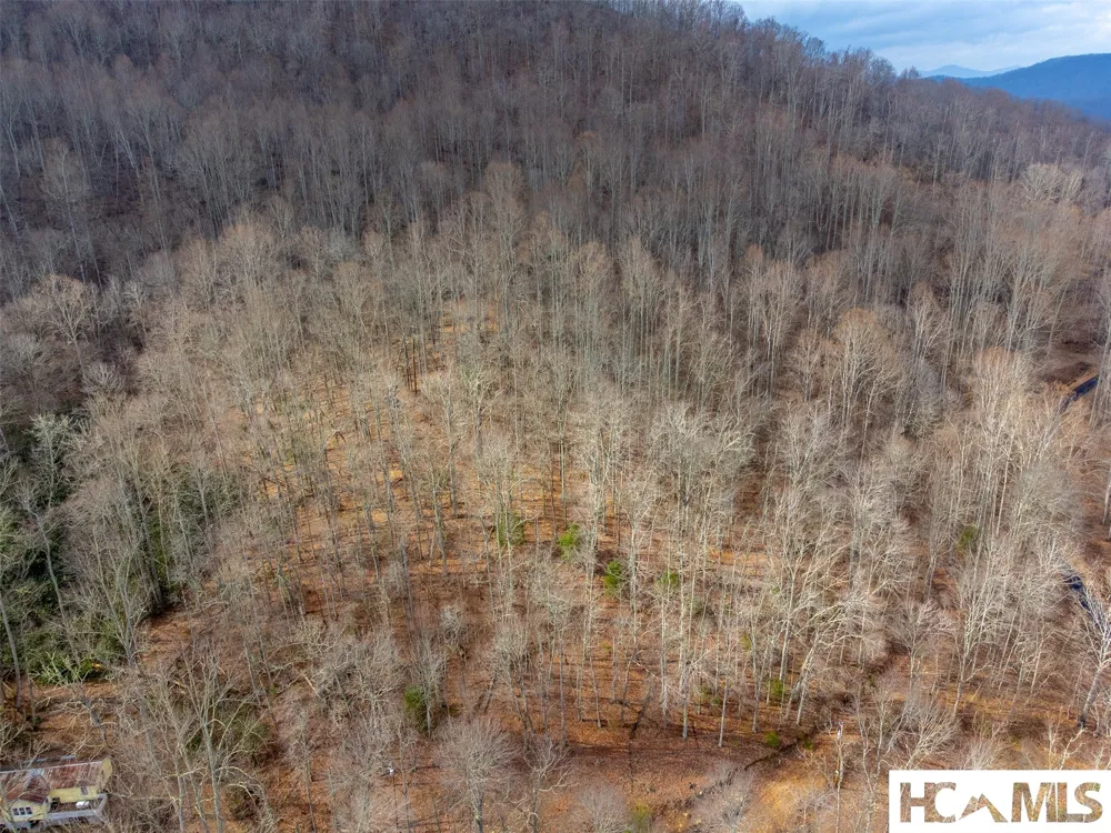 1241* Henry Road Franklin, NC 28734