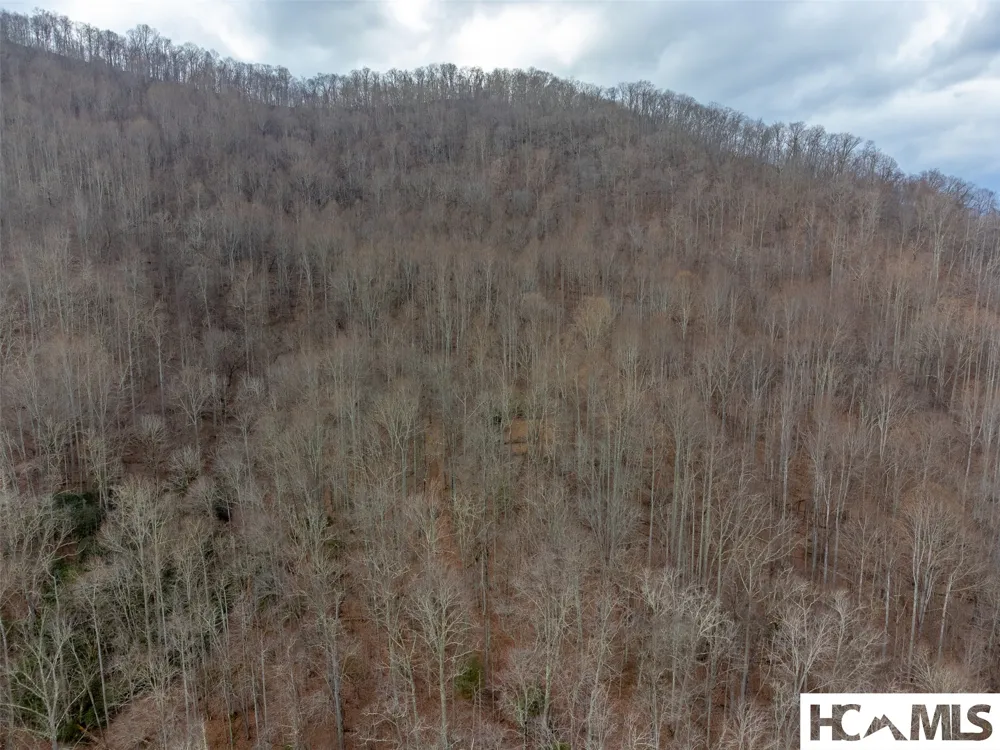 1241* Henry Road Franklin, NC 28734