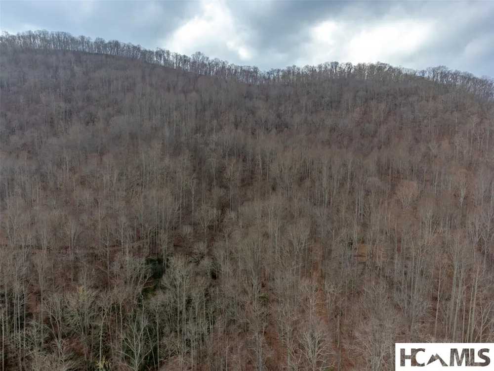 1241* Henry Road Franklin, NC 28734