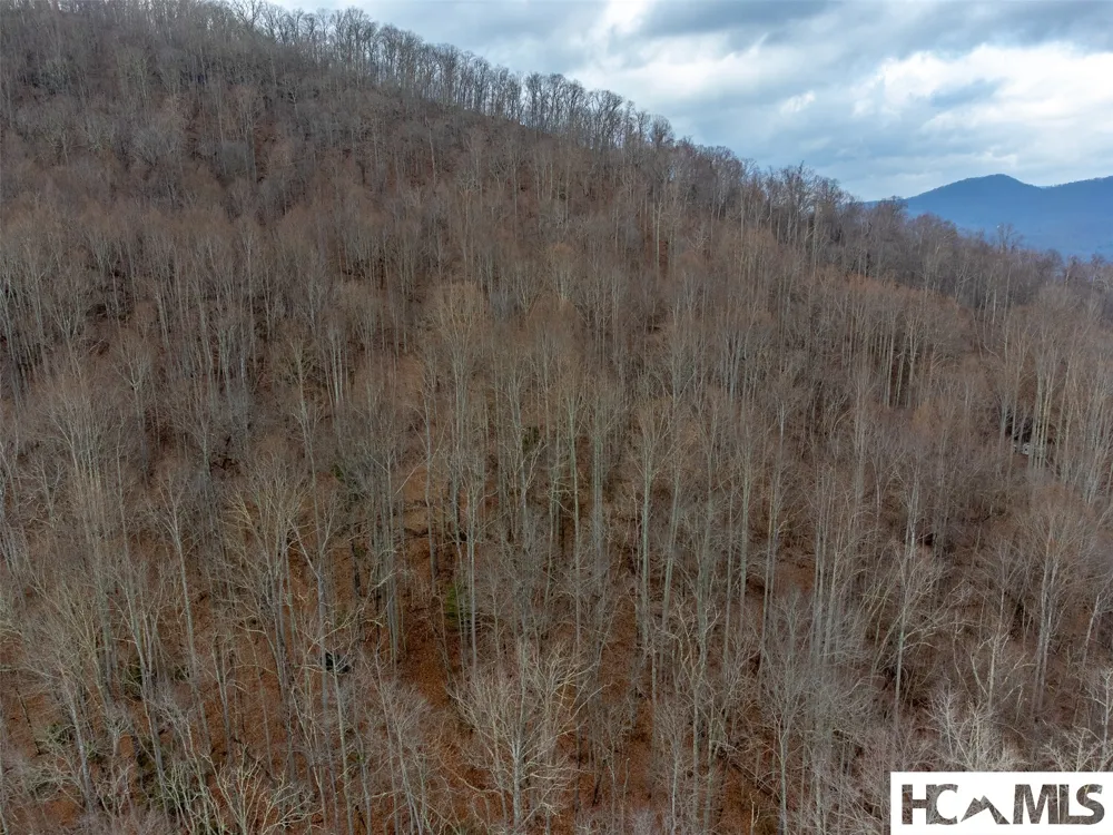 1241* Henry Road Franklin, NC 28734