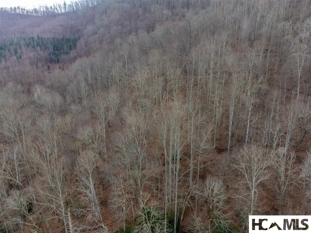 1241* Henry Road Franklin, NC 28734
