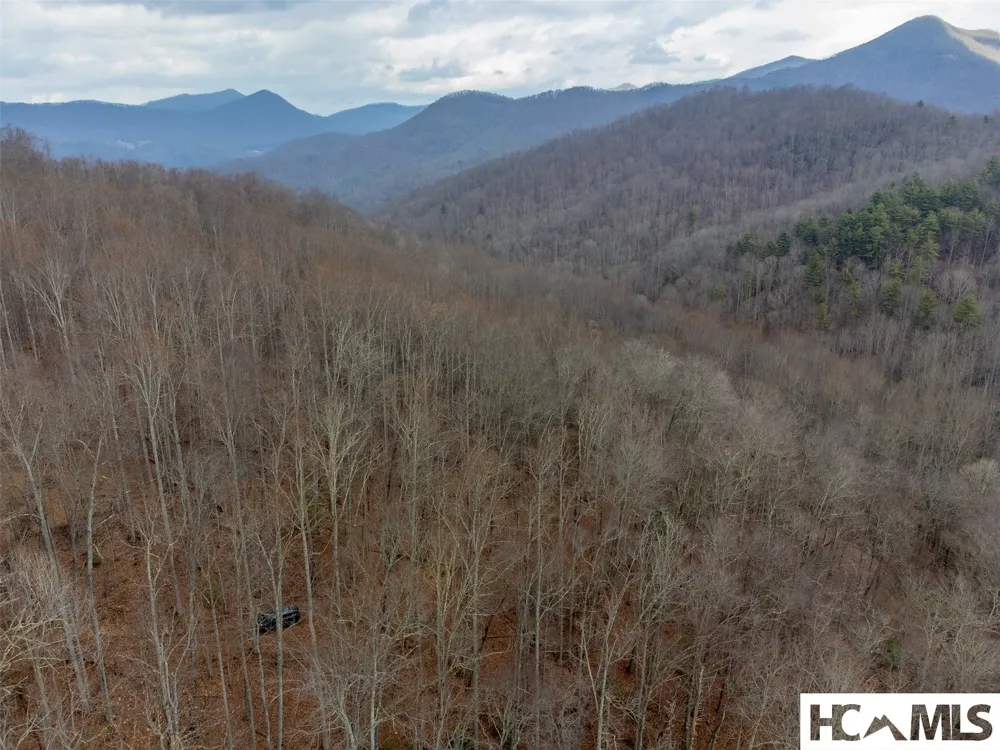 1241* Henry Road Franklin, NC 28734