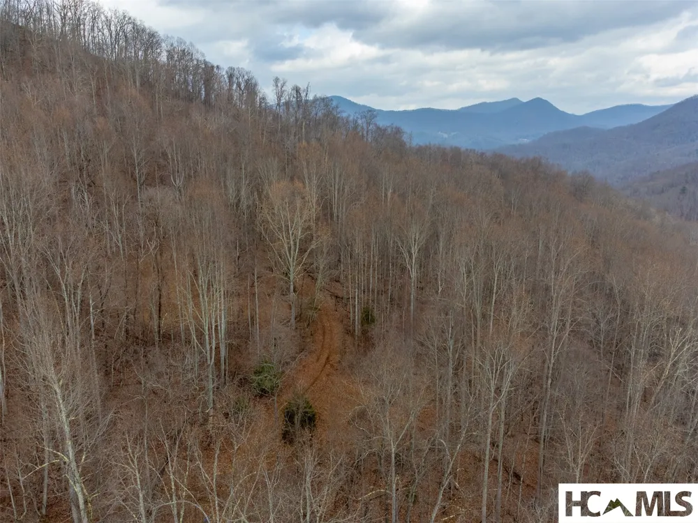 1241* Henry Road Franklin, NC 28734
