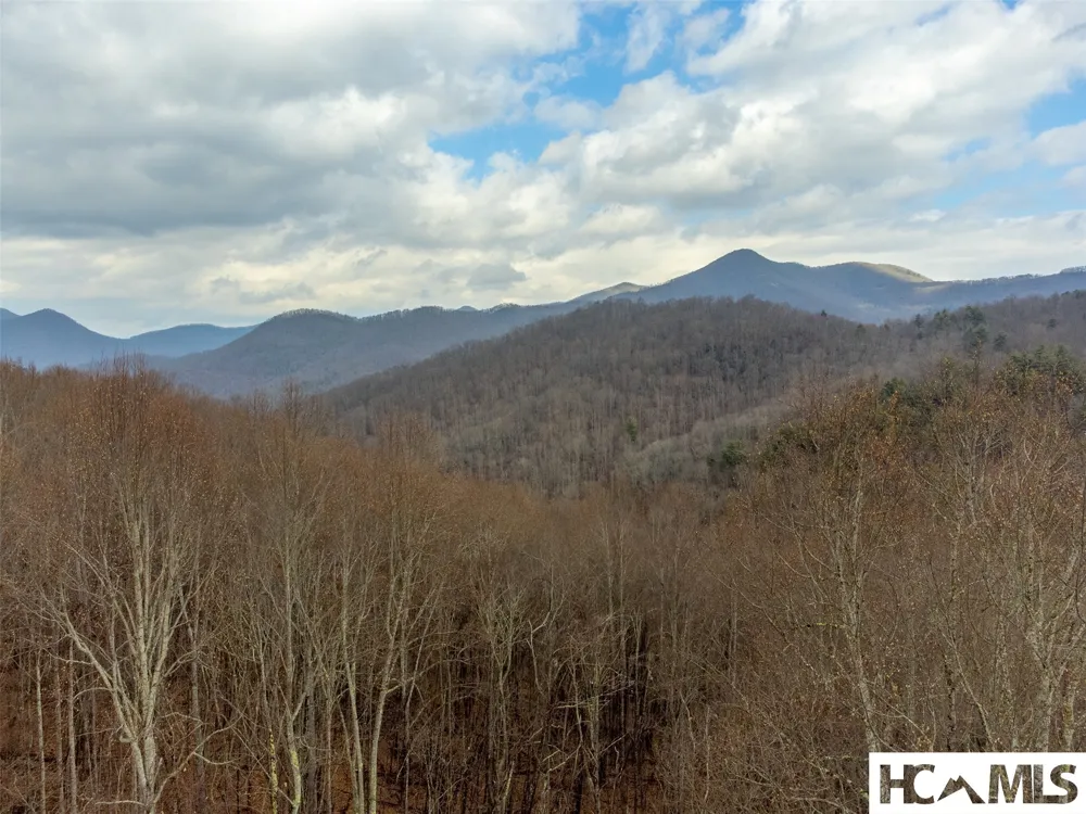1241* Henry Road Franklin, NC 28734