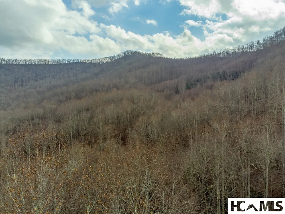 1241* Henry Road Franklin, NC 28734