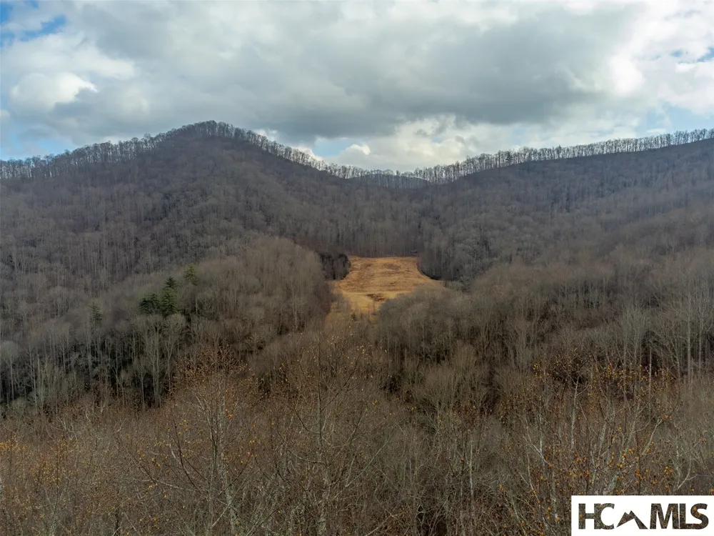 1241* Henry Road Franklin, NC 28734