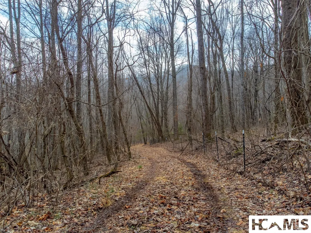 1241* Henry Road Franklin, NC 28734
