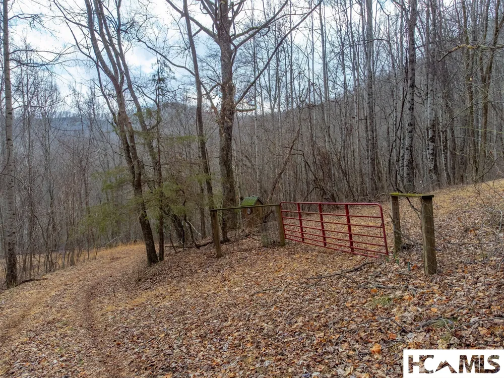 1241* Henry Road Franklin, NC 28734