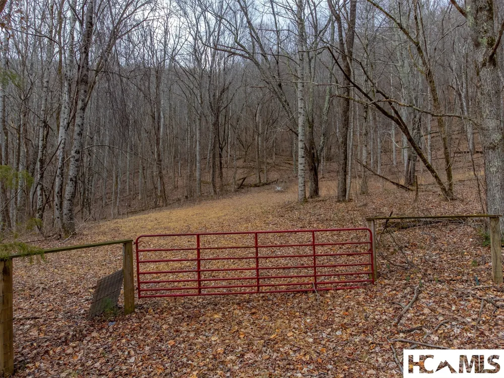 1241* Henry Road Franklin, NC 28734