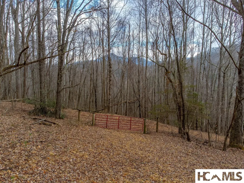 1241* Henry Road Franklin, NC 28734