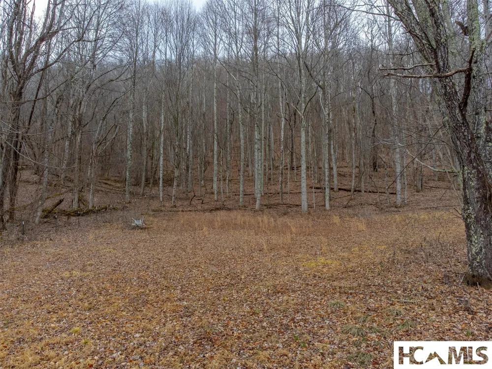1241* Henry Road Franklin, NC 28734