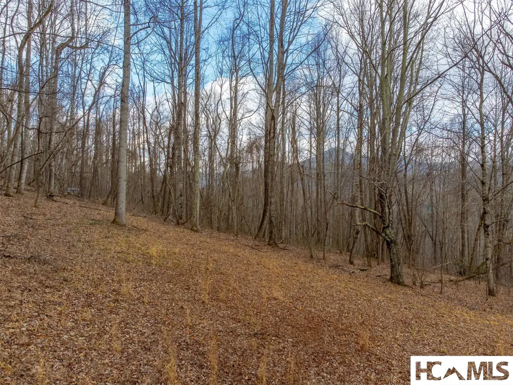 1241* Henry Road Franklin, NC 28734