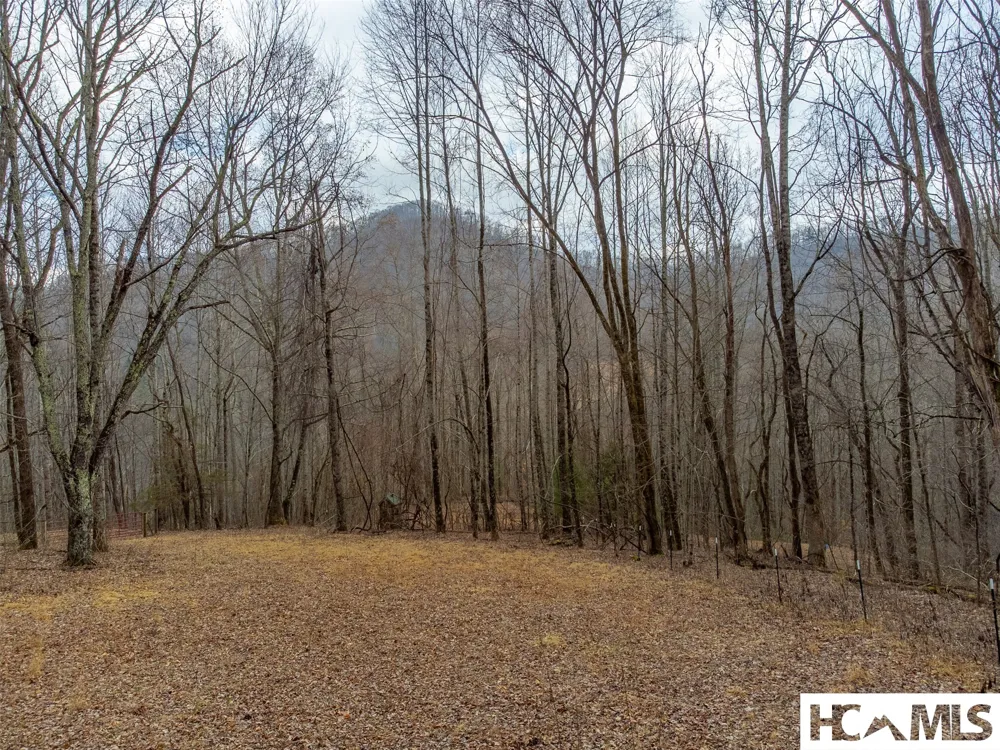 1241* Henry Road Franklin, NC 28734