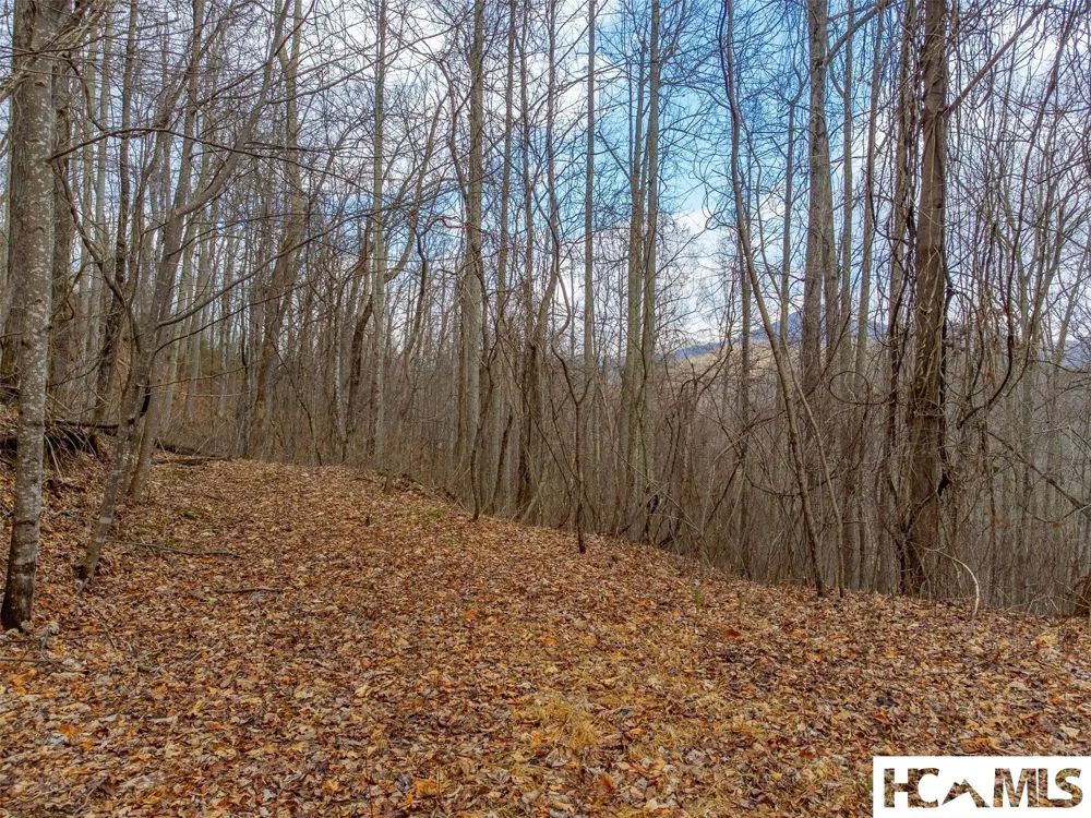 1241* Henry Road Franklin, NC 28734