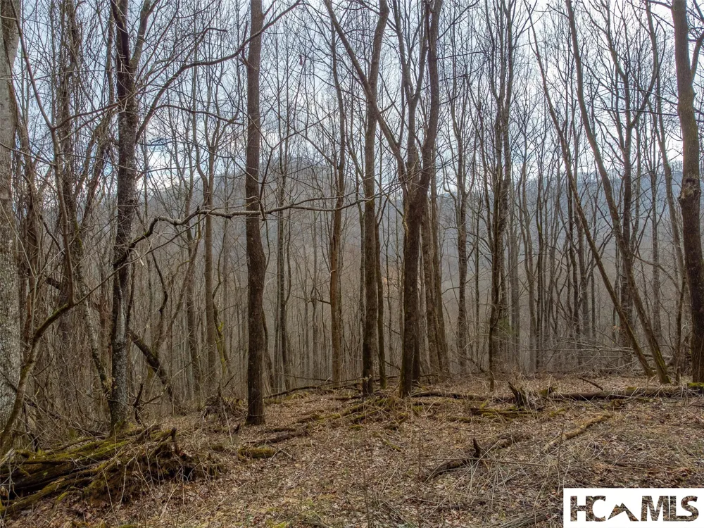 1241* Henry Road Franklin, NC 28734