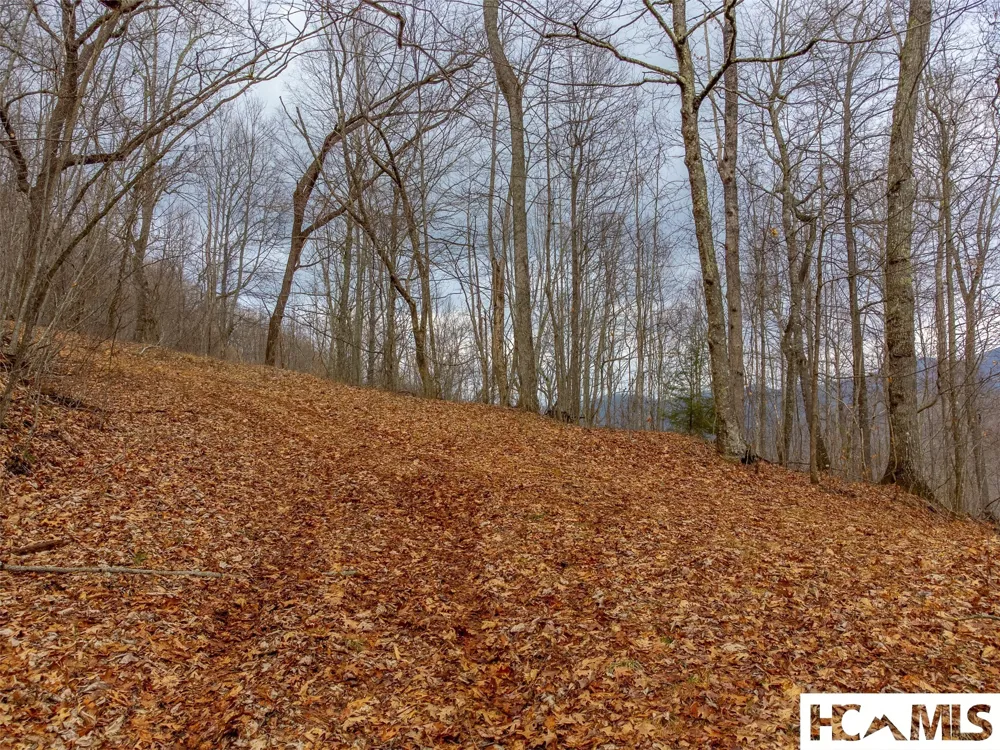 1241* Henry Road Franklin, NC 28734