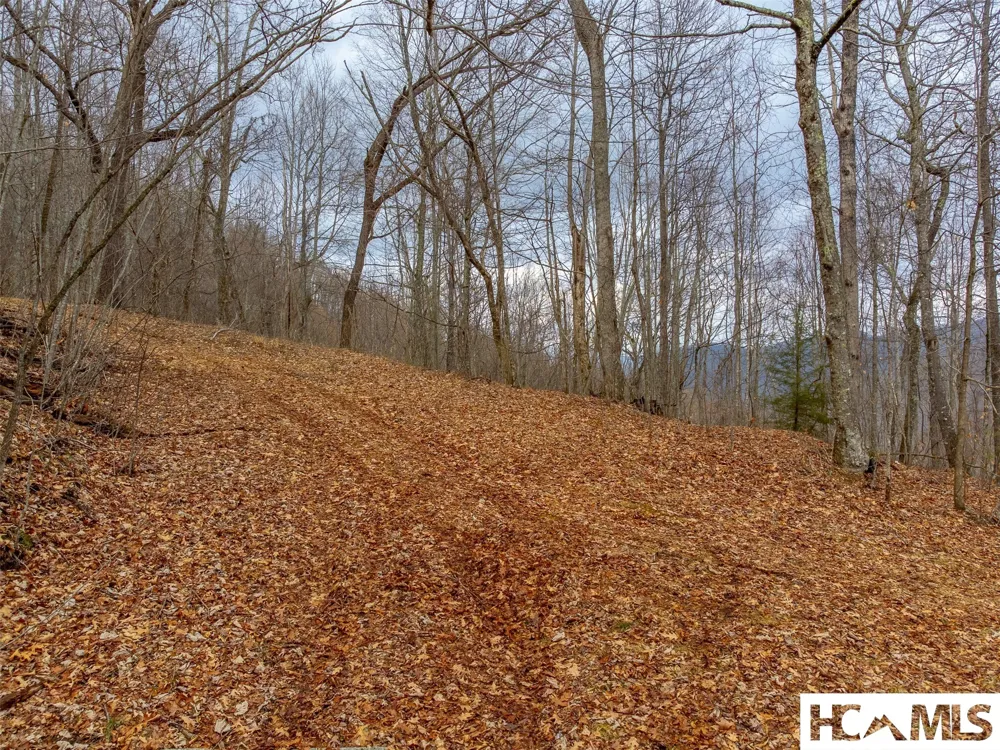 1241* Henry Road Franklin, NC 28734