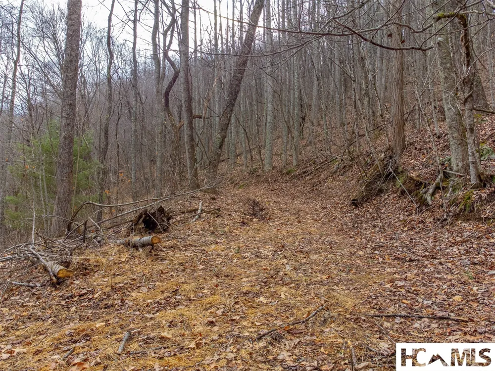 1241* Henry Road Franklin, NC 28734
