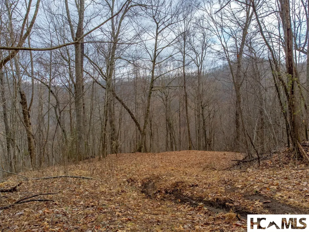 1241* Henry Road Franklin, NC 28734
